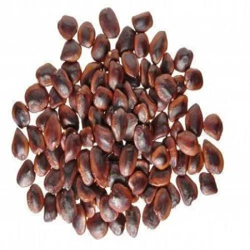 Brown Natural And Dried Solid Bitter Taste Tamarind Seeds