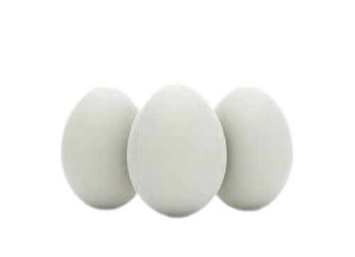 White Broiler Fresh Eggs Egg Origin: Chicken