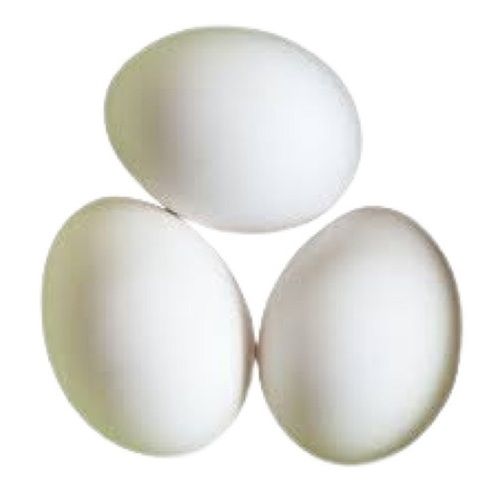 White Oval Shape Healthy Fresh Egg Egg Origin: Chicken