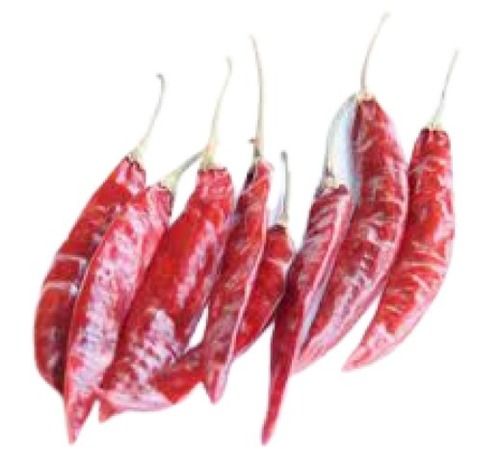 Piece A Grade Spicy Taste Dried Red Chilli