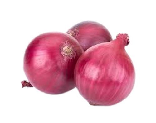 Farm Fresh Round Shape Red Onion Moisture (%): 86%