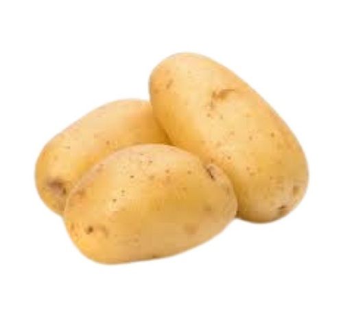 Fresh Oval Shape Potato Moisture (%): 75 %