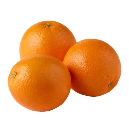 Common Fresh Round Shape Sour Orange Fruit