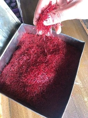 kashmiri saffron