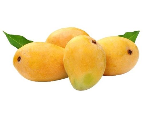 Yellow Naturally Grown Sweet Oval Shape Mango