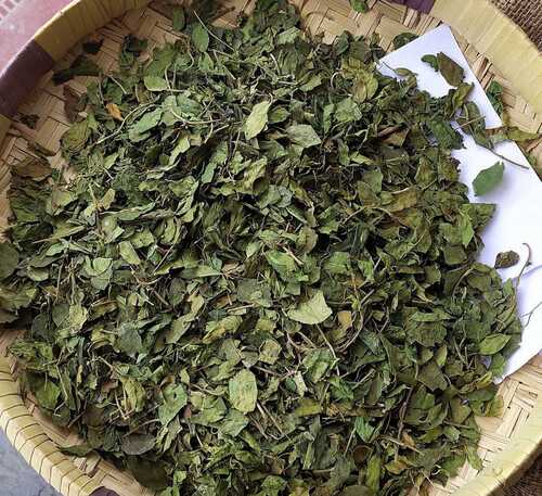 100% Herbal Gymnema Sylvestre Leaves