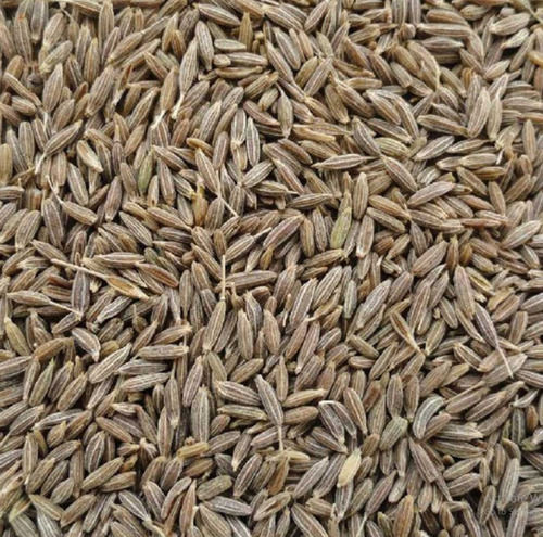 Easy To Digest Granule Form Dried Cumin Seeds