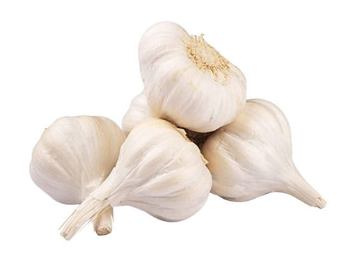 Raw Fresh Garlic With 1 Months Shelf Life 