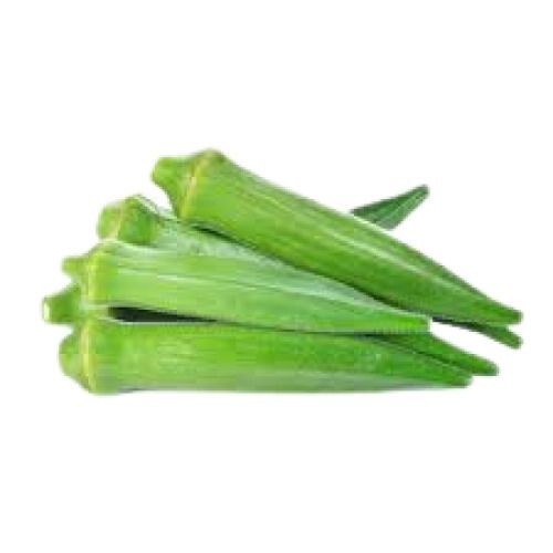 7.6 % Moisture Long Shape Raw Fresh Lady Finger For Cooking Use Preserving Compound: Cool And Dry Place