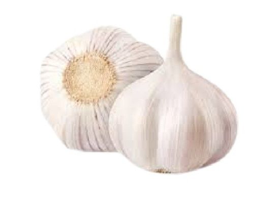 70 % Moisture Round Shape Fresh Garlic For Cooking Dishes Use