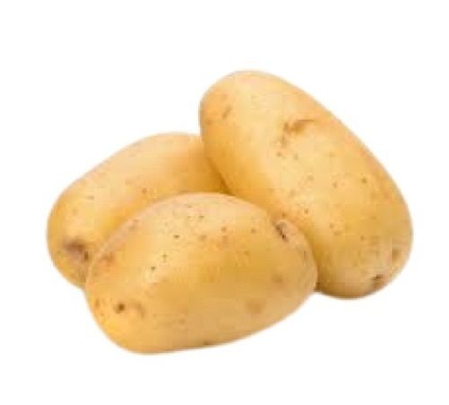 85% Moisture Oval Shape Raw Fresh Potato For Cooking Use