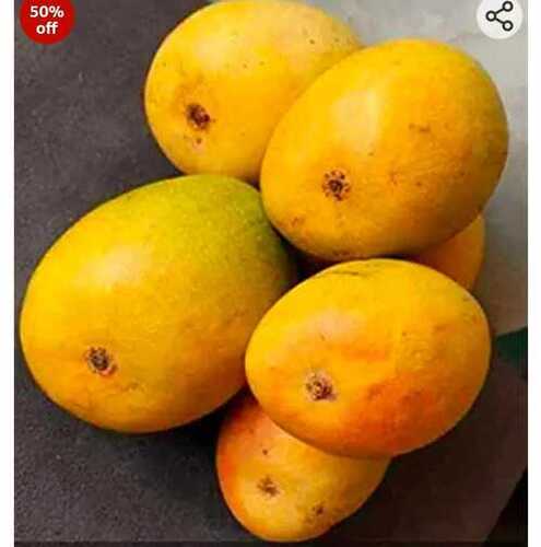 Common Yellow Hapus Mango, High In Vitamin C Application: Holiday Resort