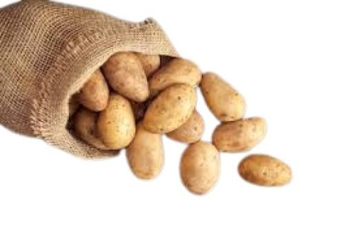 Fresh Naturally Grown Oval Shape Potato Moisture (%): 83%