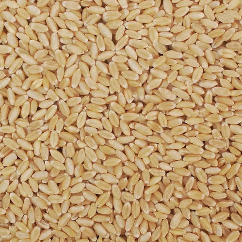 Natural And High Protein Lokwan Wheat With 12% Moisture Content