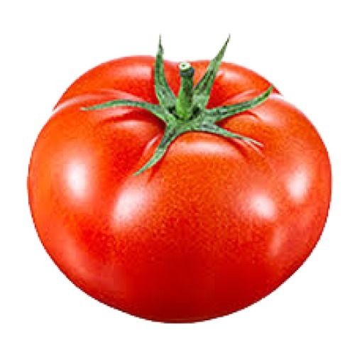 Naturally Grown Raw Round Shape Fresh Tomato