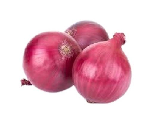 Round Shape Naturally Grown Raw Fresh Onion For Cooking Dishes 