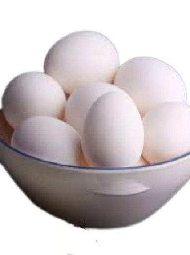 White Oval Shape Healthy Egg  Egg Origin: Chicken