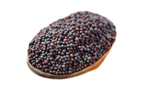 100 Percent Pure Black A Grade Mustard Seed