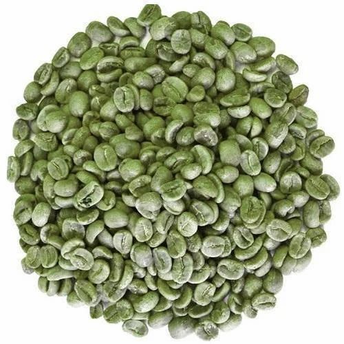 Commonly Cultivated Antioxidant Dried Green Coffee Bean For Weight Loss Use