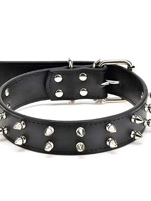 dog collars