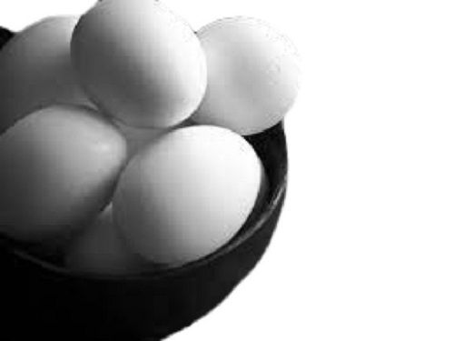 White Oval Shape Healthy Egg