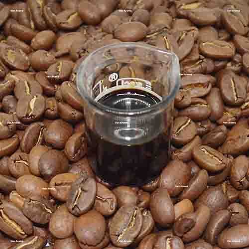 coffee oil