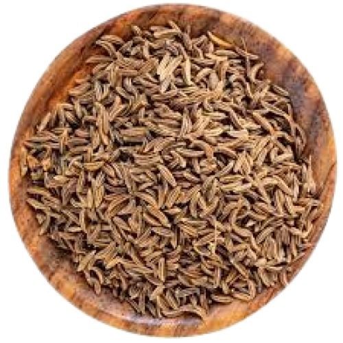 Solid Premium Quality Brown Oblong Shape A Grade Spicy Dried Cumin Seed