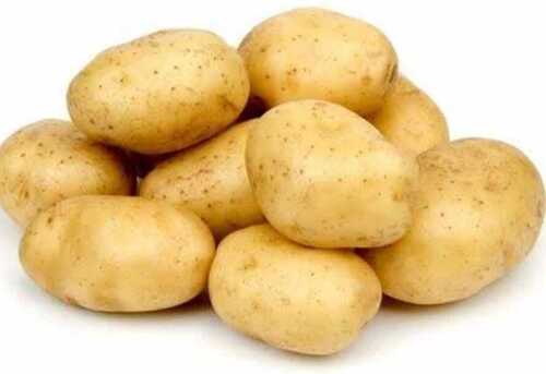 A Grade And Indian Origin Fresh Potato