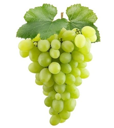 Common Fresh Round Shape Sweet Green Grapes 