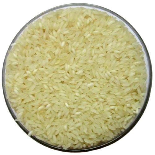 Medium Grain 100 Percent Pure Indian Origin Ponni Rice  Broken (%): 1%