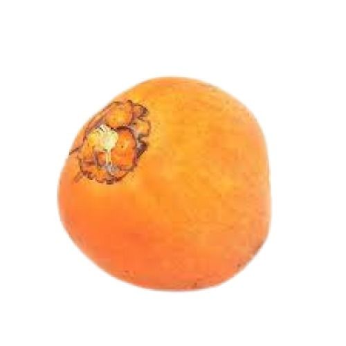 Orange Young Round Shape Medium Size Whole Fresh Tender Coconut 