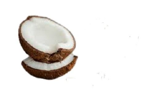 Brown Round Shape Naturally Grown Fresh Coconut