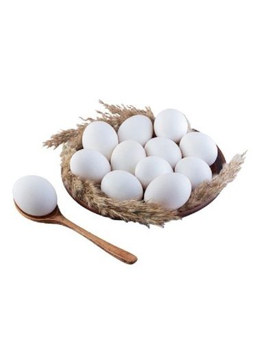 White Oval Shape Healthy Broiler Fresh Egg