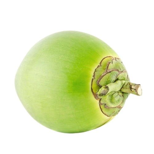 Green Round Shape Fresh Coconut 