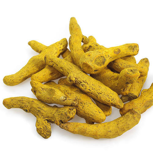Raw Whole Pure And Dried Turmeric Finger