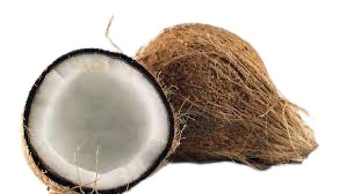 Round Shape Fresh Coconut