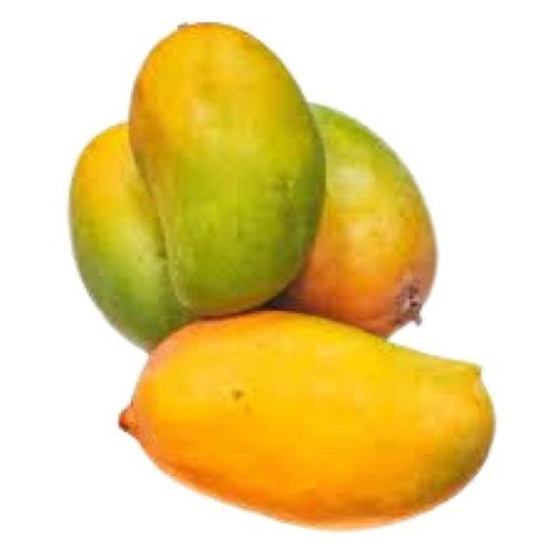 Yellow Fresh Oval Shape Sweet Mango