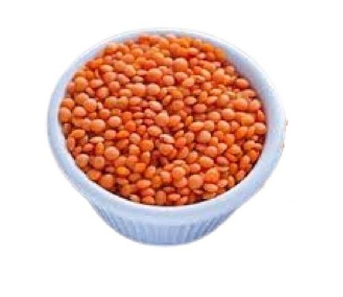 Orange Indian Origin 100 Percent Pure Round Shape Dried Masoor Dal