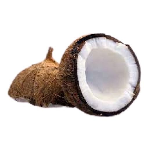 White With Brown Round Shape Fresh Coconut