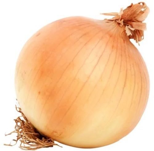 2 % Moisture Round Raw Brown Onion