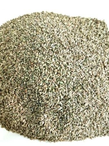 99% Pure And 9.5% Ash Natural Flavour Dried Ajwain Seed Admixture (%): 00