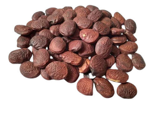 99% Pure Organic Common Cultivation Pongamia Seed Ash %: 00