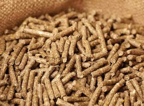 A-Grade Healthy No Smell Dried Cattle Feed