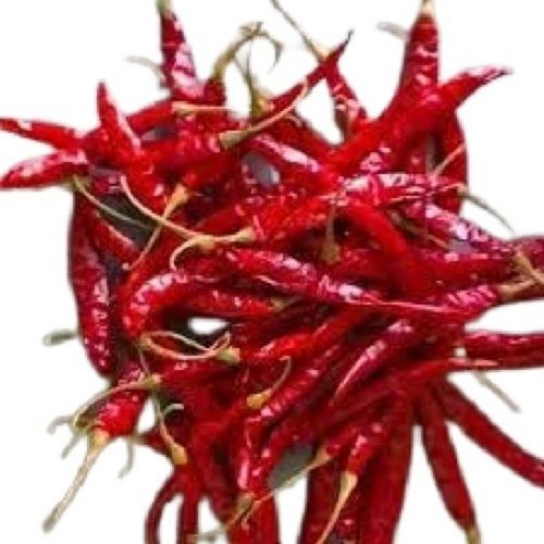 Stick Dried Spicy A Grade Raw Red Chilli