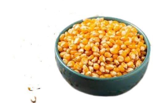 Naturally Grown Dried Healthy Yellow Maize