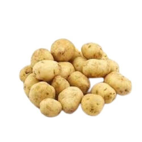 Oval Shape Brown Fresh Potato