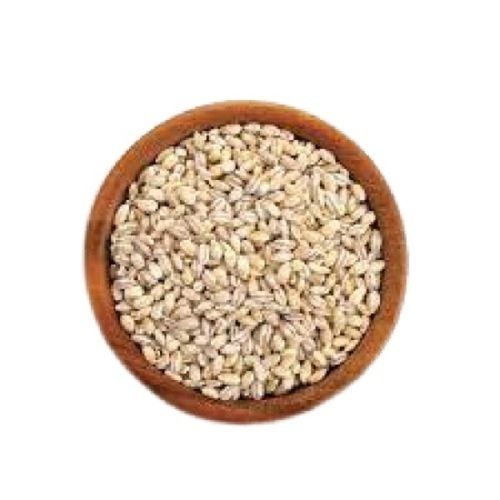 White Healthy 100 Percent Pure Dried Barley