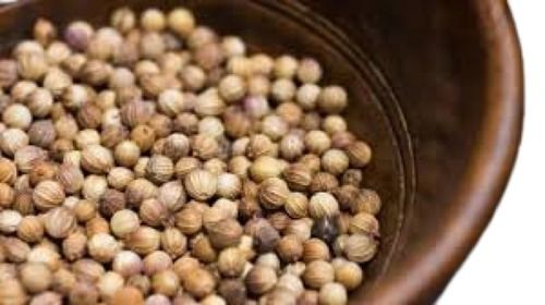 A Grade Brown 100 Percent Pure Dried Coriander Seed