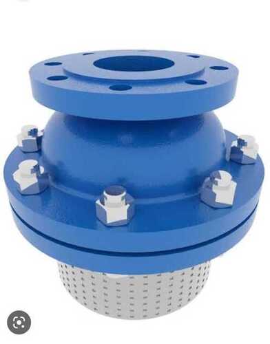 Cast Iron Foot Valve For Industrial Use