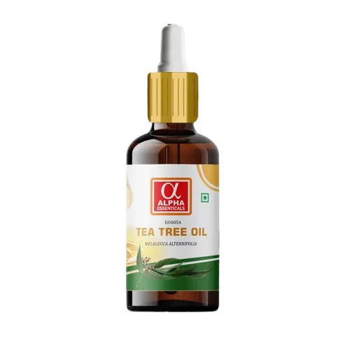 99% Pure Camphoraceous Odor Tea Tree Oil With 12 Months Shelf Life 